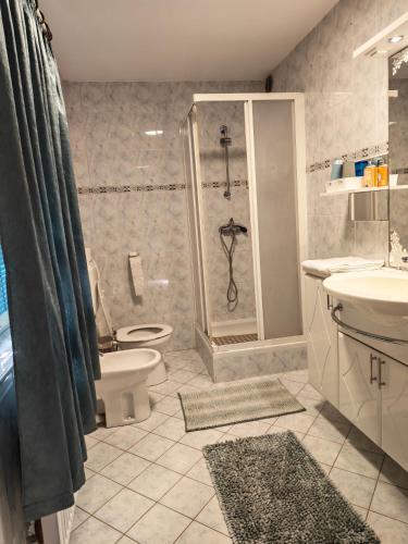a bathroom with a shower and a toilet and a sink at Center Grič - sobe, apartma in Sveta Trojica v Slovenskih Goricah