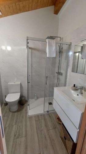 a bathroom with a shower and a toilet and a sink at Casa da Fraga in Soajo