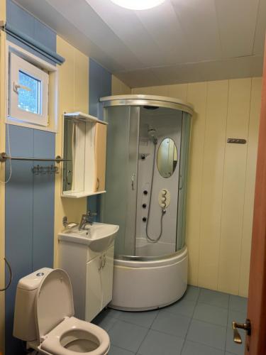 a bathroom with a shower and a toilet and a sink at Будинок на Дніпрі in Kozin
