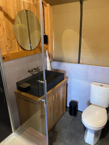 a small bathroom with a toilet and a sink at Vakantieboerderij Den Deter in Meddoo