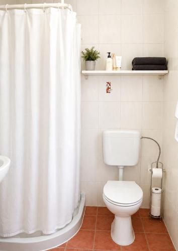 a bathroom with a toilet and a shower curtain at nice central studio in Luxembourg