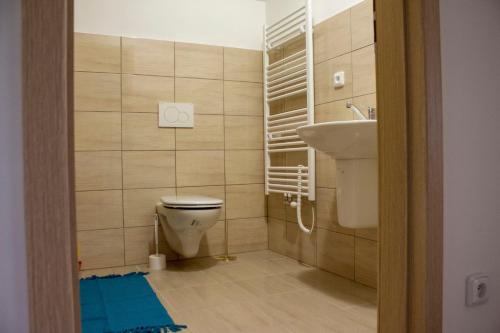 a bathroom with a toilet and a sink at Usedlost u rybníka in Velký Bor