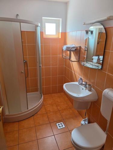 a bathroom with a shower and a toilet and a sink at Pension Nicoleta in Costeşti
