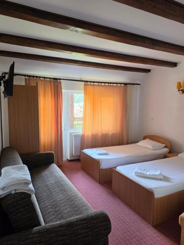 a hotel room with two beds and a couch at Pension Nicoleta in Costeşti