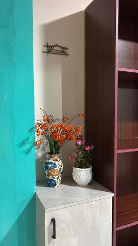 two vases sitting on top of a cabinet with flowers at Serenity View Stay in Shillong