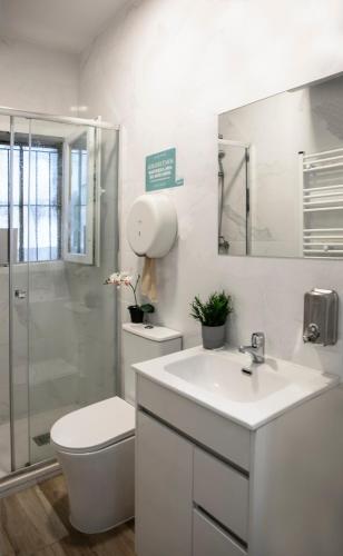a bathroom with a sink and a toilet and a shower at Next Stop Atocha in Madrid