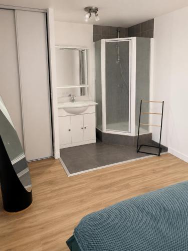 a room with a bathroom with a sink and a mirror at l 'Escapade Atlantique in Saint-Nazaire