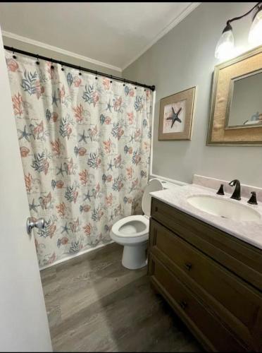 a bathroom with a toilet and a shower curtain at Sandy Toes Getaway in Hilton Head Island