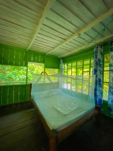 an empty bed in a green room with windows at Reserva Natural Tucuchira in Santa Sofía
