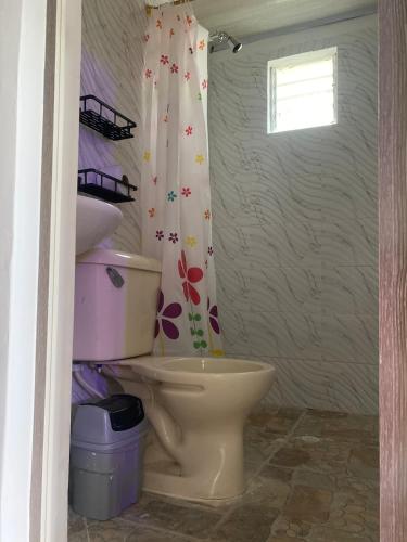a bathroom with a toilet and a shower curtain at Santo Cristo in Tena