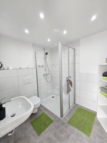 a bathroom with a shower and a toilet and a sink at Ferienwohnung An Der Kapelle in Rickenbach