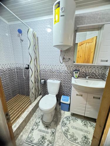 a bathroom with a toilet and a sink and a shower at У Назгули in Cholpon-Ata