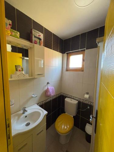 a small bathroom with a sink and a toilet at Villa Lux in Žabljak