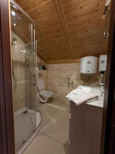 a bathroom with a shower and a toilet and a sink at Apartament ADA in Niesulice