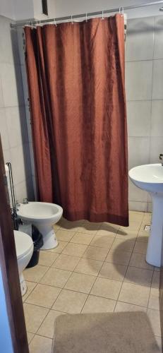 a bathroom with a shower curtain and two toilets at B & V departamentos in San Salvador de Jujuy