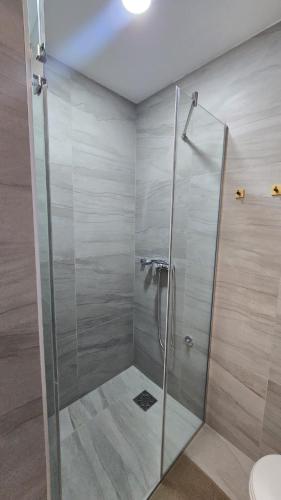 a shower with a glass door in a bathroom at Vozd Apartment in Belgrade