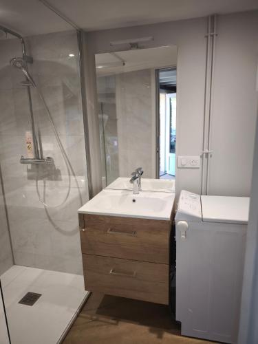a bathroom with a sink and a shower at Refuge de l'Ecureuil in Métabief