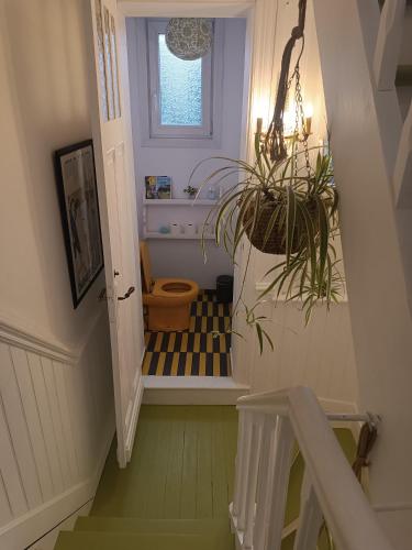 a stairway with a toilet and a potted plant at Villa Colomba - Chambre Paloma in Dunkerque