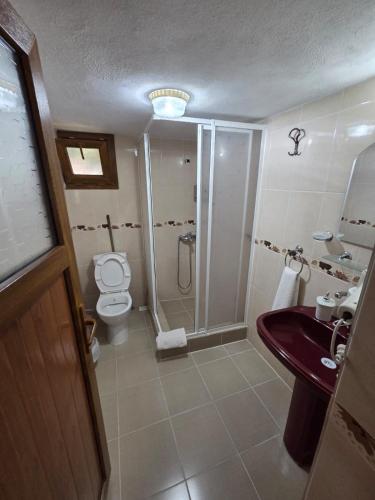 a bathroom with a shower and a toilet and a sink at Vama Konuk Evi in Gokceada Town