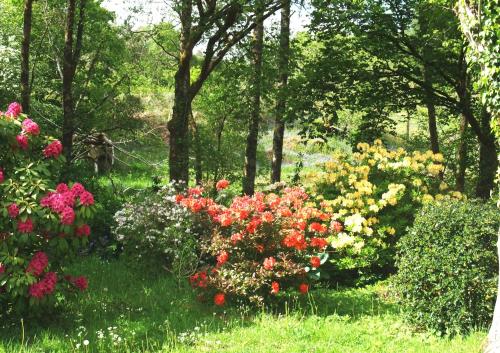 Inverawe Cottages – Photos 3