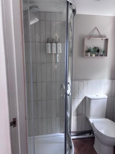 a bathroom with a shower and a toilet at Riverhill in Abersoch