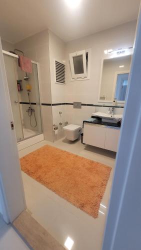 a bathroom with a shower and a toilet and a sink at Urla Sea View House in Urla