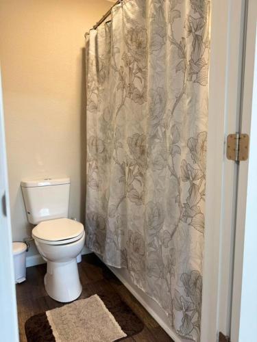 a bathroom with a toilet and a shower curtain at The Sandstone Suite in Cleveland