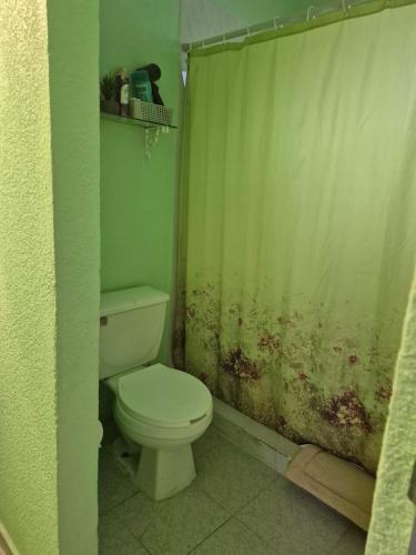 a bathroom with a toilet and a green shower curtain at Casa de los Sauces in Toluca