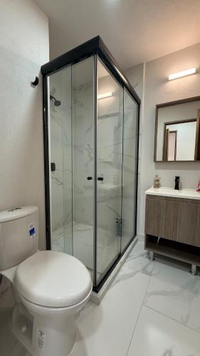a bathroom with a shower and a toilet and a sink at Casa completa de fin de semana Cuautla in Tlayecac
