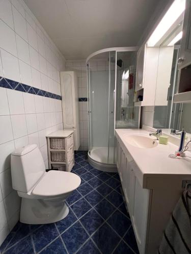 a bathroom with a toilet and a sink and a shower at Venusvegen Skyline Views in Tromsø