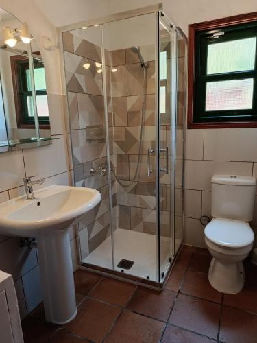 a bathroom with a shower and a toilet and a sink at Casa Flor azul in Las Tricias