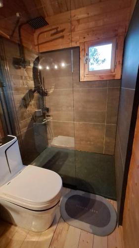 a small bathroom with a toilet and a shower at Zum Herz in Charlotenburg