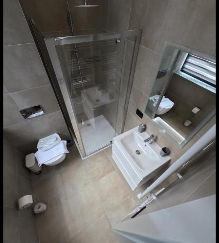 a bathroom with a toilet and a sink and a mirror at Motty Residence in Vicovu de Sus