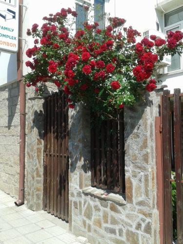 un montón de rosas rojas colgando de una ventana en Bonbon Guest House, en Panagyurishte