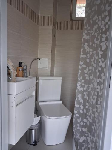 a small bathroom with a toilet and a sink at Eichberghaus in Aue