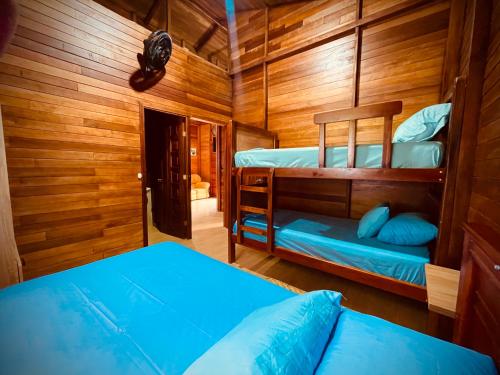 two bunk beds in a room with wooden walls at Huayra Wasy in Tena