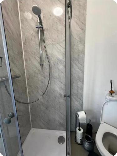 a shower in a bathroom with a toilet at Encliffe apartment in Nether Edge