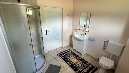 a bathroom with a shower and a toilet and a sink at Villa Odorica in Gura Humorului