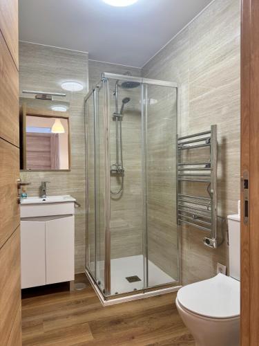 a bathroom with a shower with a toilet and a sink at Alojamentos do Conde in Ponte de Lima