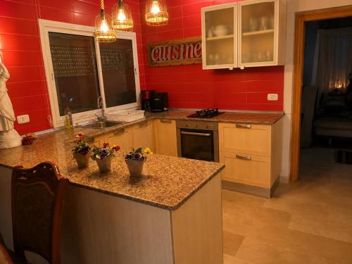 a kitchen with red walls and a counter with plants on it at chalet de paradis in Bizerte
