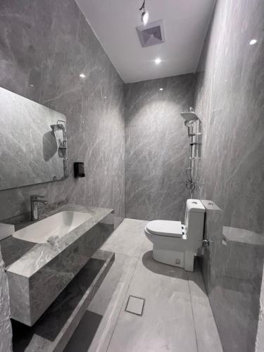 a bathroom with a white toilet and a sink at الباحه للشقق المخدومه in Al Baha