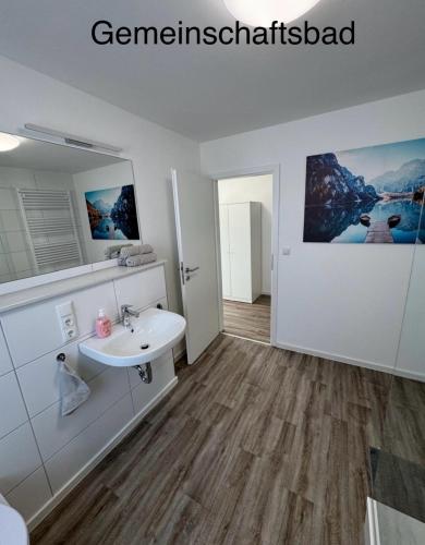 a bathroom with a white sink and a mirror at Monteurwohnung Gieboldehausen in Gieboldehausen