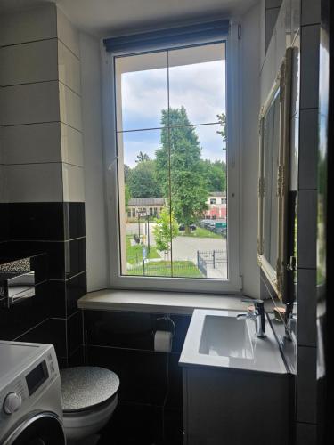 a bathroom with a window and a toilet and a sink at Apartament DARIS in Wałbrzych