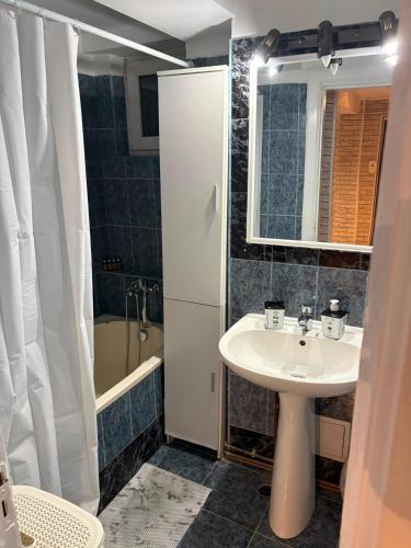 a bathroom with a sink and a shower and a tub at Transfăgărașean Gateway in Curtea de Argeş