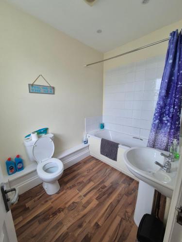 a bathroom with a toilet and a sink and a tub at The Boat Yard in Appledore