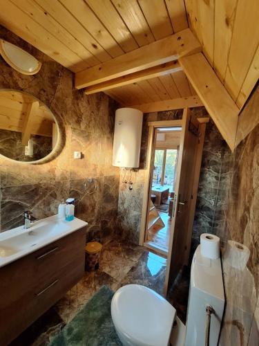 a bathroom with a white toilet and a sink at Brvnara kao na dlanu 2 in Rudnik