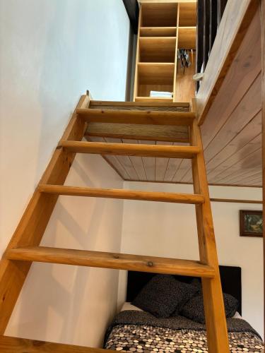 a ladder leading up to a bunk bed in a room at Studio climatisé in Paray-Vieille-Poste
