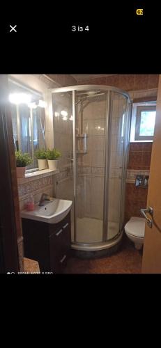 a bathroom with a shower and a sink and a toilet at Welcome Home in Piaseczno