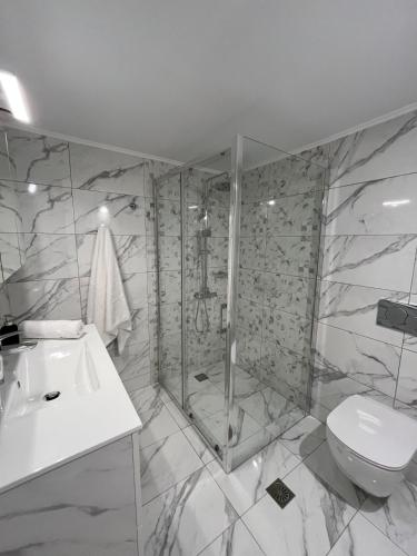 a bathroom with a shower and a toilet and a sink at Salamina Downtown Apartment East in Salamina