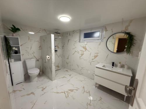 a bathroom with a toilet and a sink and a mirror at Maison Charmante in Donges